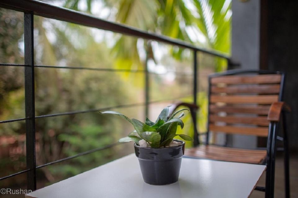 Apsara Greenland Boutique Hotel Siem Reap Exteriör bild